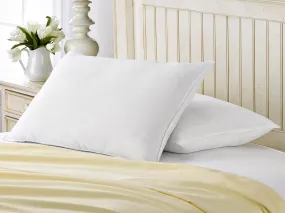 2 Pack French Country Down Surround Pillows / Standard Size