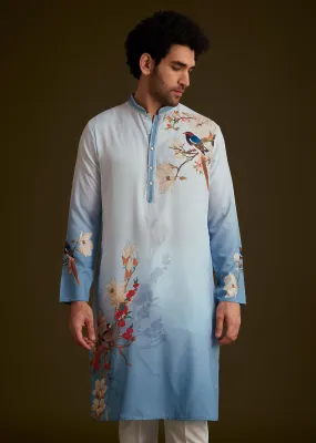 Blue Bird Printed Kurta Set