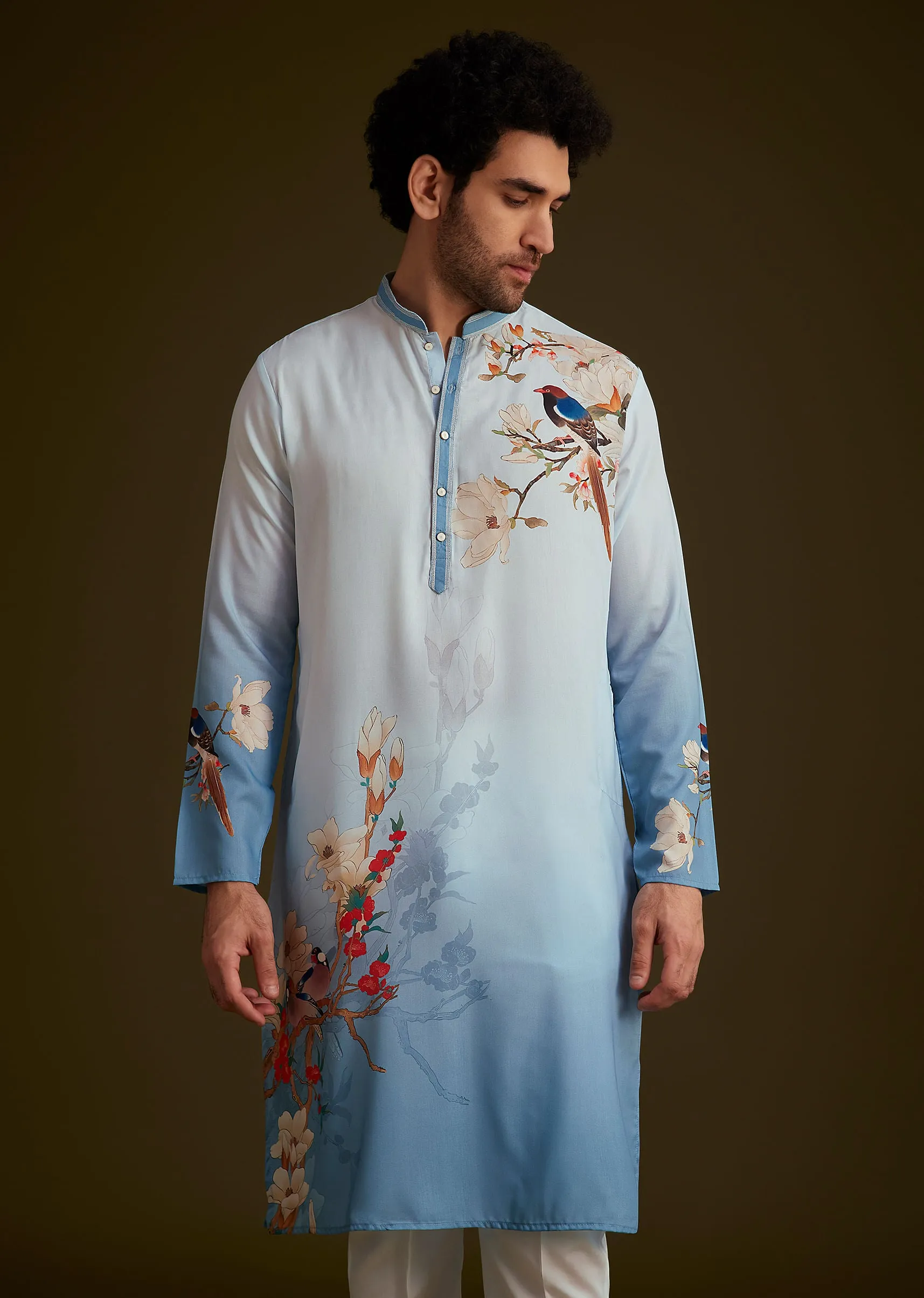 Blue Bird Printed Kurta Set
