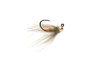 CDC France Fly