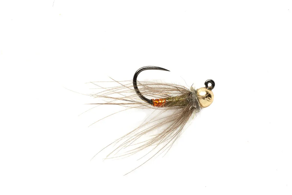 CDC France Fly