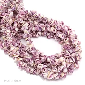 Cebu Beauty Shell Crazy Cut/Spiral 8mm-10mm (16-Inch Strand)