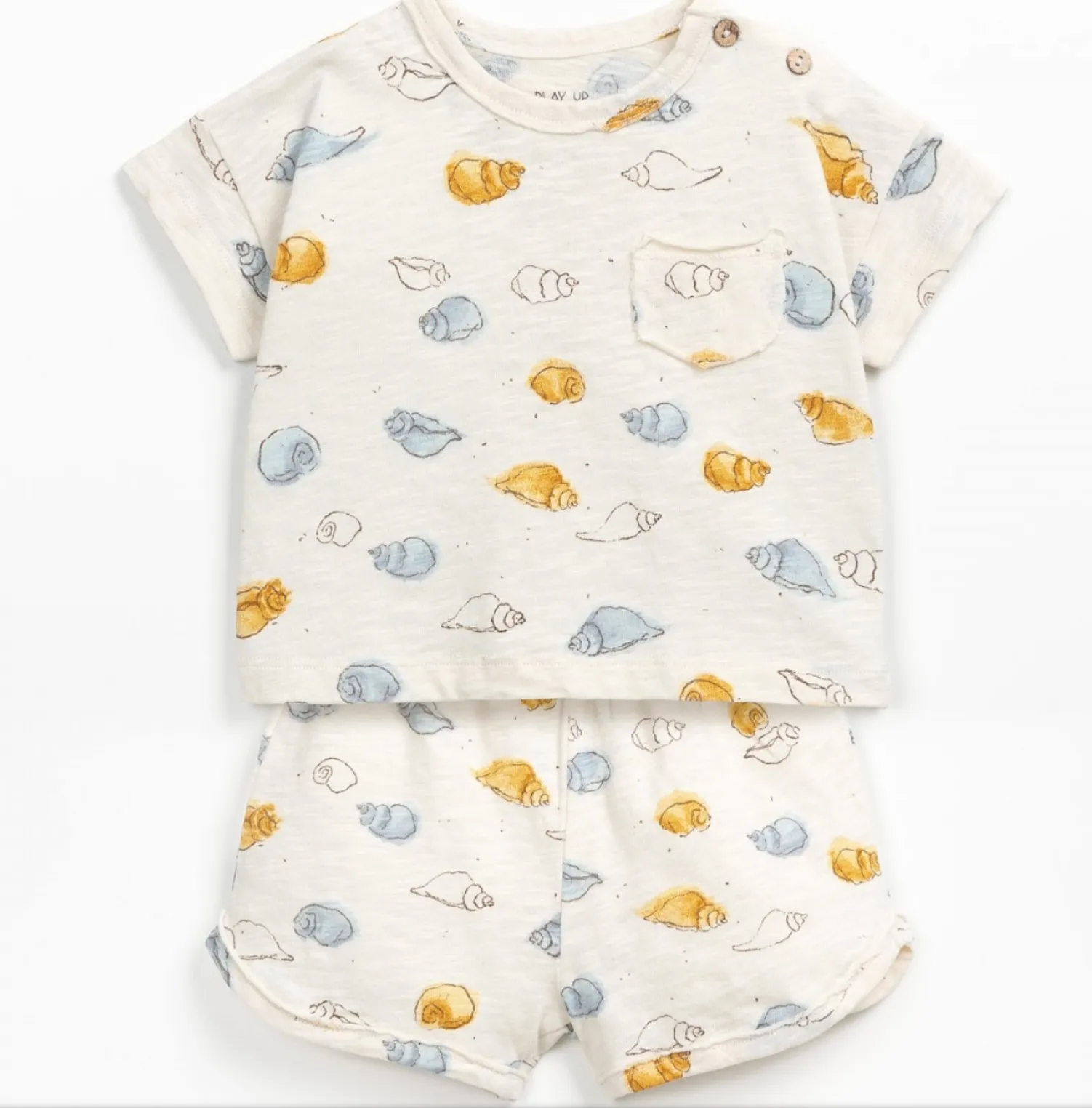 Sea Shell Top   Bottom Set
