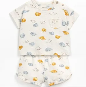 Sea Shell Top   Bottom Set