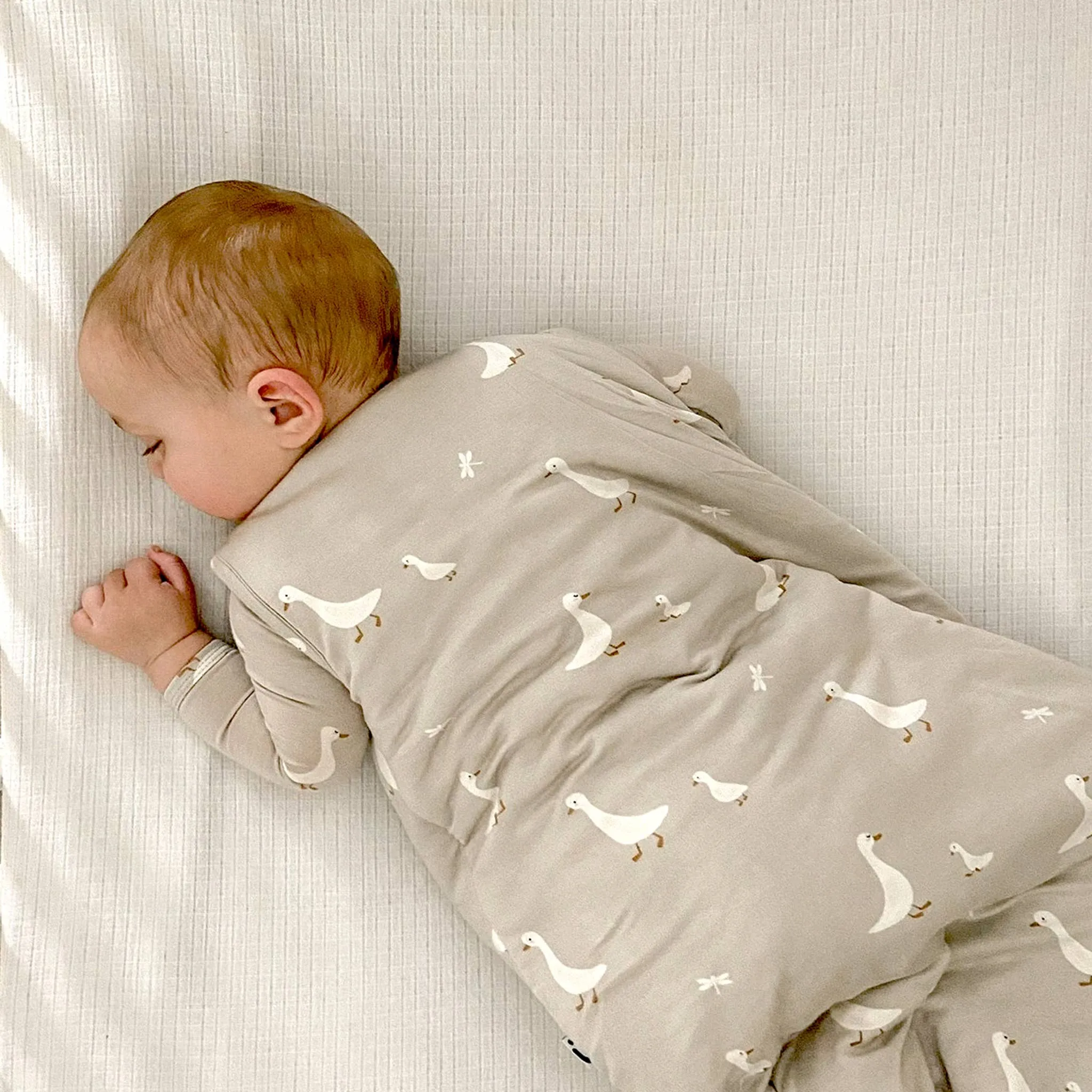 Sleep Bag - Crowned Goose, 1.0 TOG